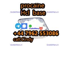selling Procaine base CAS 59-46-1 /51-05-8 / procaine hcl and base sale Holland