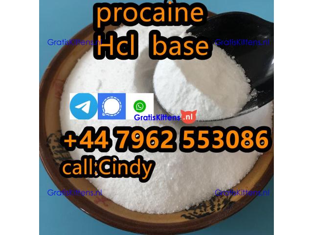 selling Procaine base CAS 59-46-1 /51-05-8 / procaine hcl and base sale Holland