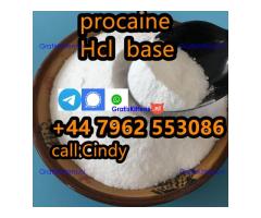selling Procaine base CAS 59-46-1 /51-05-8 / procaine hcl and base sale Holland