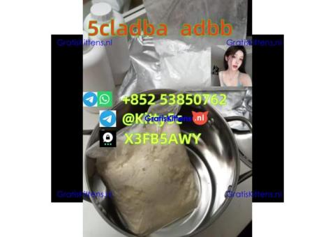 Strongest 5cladba adbb 5CL-ADB-A Raw Material  Precursor