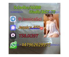 Noids raw materials 5cl-adb-a 5cladba ADBB powder