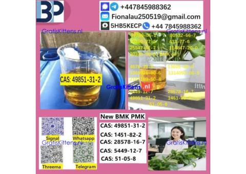 49851-31-2 BMK PMK Chemical raw materials