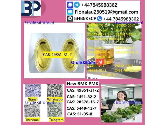 B.M.K P.M.K 1451-82-7 Chemical raw materials