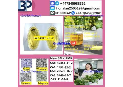 B.M.K P.M.K 1451-82-7 Chemical raw materials