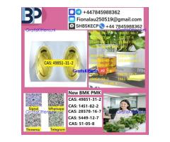 B.M.K P.M.K 1451-82-7 Chemical raw materials