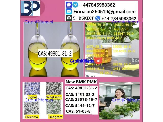 B.M.K P.M.K 1451-82-7 Chemical raw materials