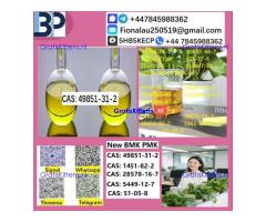 B.M.K P.M.K 1451-82-7 Chemical raw materials