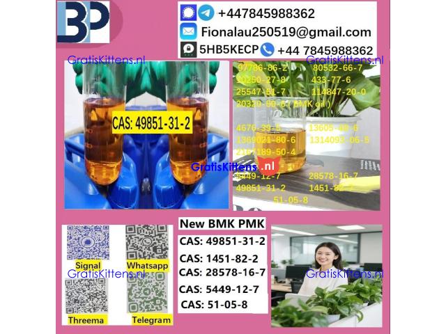 B.M.K P.M.K 1451-82-7 Chemical raw materials