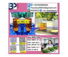 B.M.K P.M.K 1451-82-7 Chemical raw materials