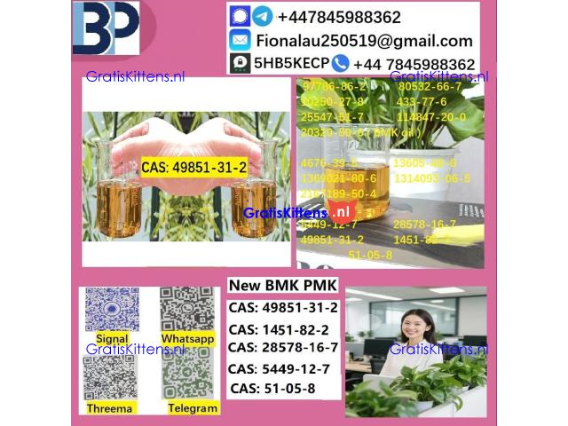 B.M.K P.M.K 1451-82-7 Chemical raw materials