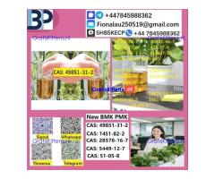 B.M.K P.M.K 1451-82-7 Chemical raw materials