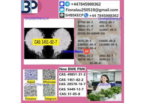 1451-82-7 B.M.K P.M.K Chemical raw materials