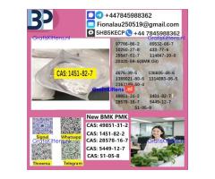 1451-82-7 B.M.K P.M.K Chemical raw materials