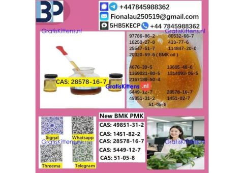 B.M.K P.M.K 28578-16-7 Chemical raw materials