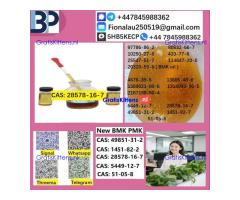 B.M.K P.M.K 28578-16-7 Chemical raw materials