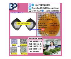 B.M.K P.M.K 28578-16-7 Chemical raw materials