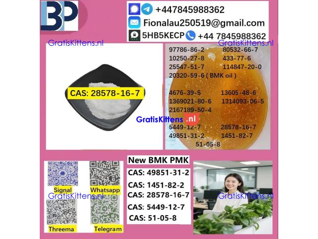 B.M.K P.M.K 28578-16-7 Chemical raw materials