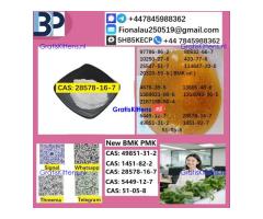 B.M.K P.M.K 28578-16-7 Chemical raw materials