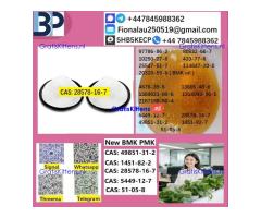 B.M.K P.M.K 28578-16-7 Chemical raw materials