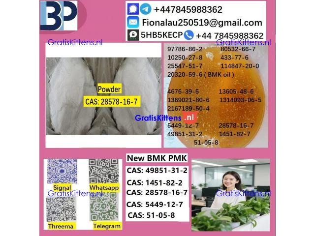 28578-16-7 B.M.K P.M.K Chemical raw materials