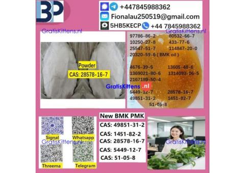 28578-16-7 B.M.K P.M.K Chemical raw materials
