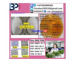 28578-16-7 B.M.K P.M.K Chemical raw materials
