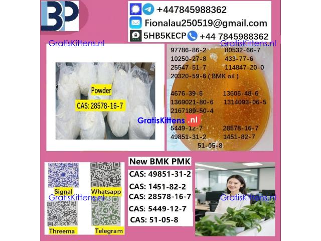 28578-16-7 B.M.K P.M.K Chemical raw materials