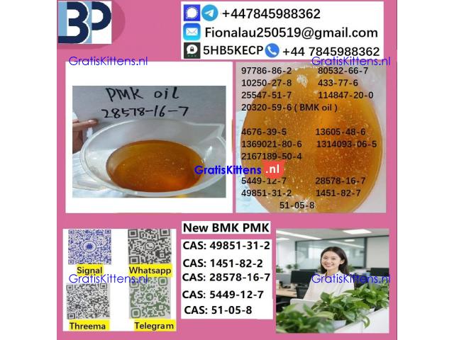 28578-16-7 B.M.K P.M.K Chemical raw materials