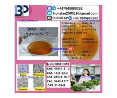 28578-16-7 B.M.K P.M.K Chemical raw materials