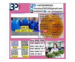 28578-16-7 B.M.K P.M.K Chemical raw materials
