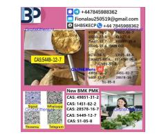 B.M.K P.M.K 5449-12-7 Chemical raw materials