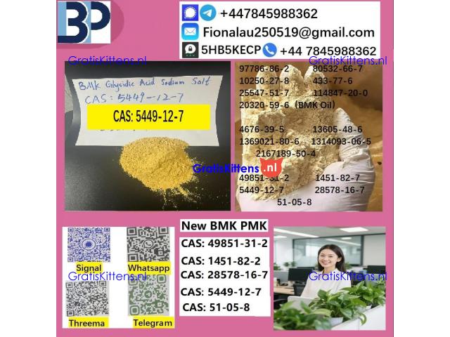 B.M.K P.M.K 5449-12-7 Chemical raw materials