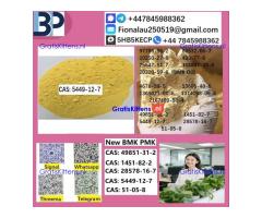cas5449-12-7 B.M.K P.M.K Chemical raw materials