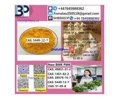 5449-12-7 B.M.K P.M.K Chemical raw materials