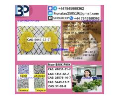 5449-12-7 B.M.K P.M.K Chemical raw materials