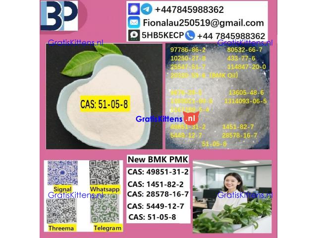 B.M.K P.M.K 51-05-8 Procaine HCl raw materials