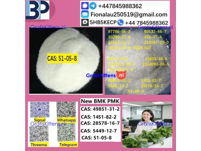 B.M.K P.M.K 51-05-8 Procaine HCl raw materials
