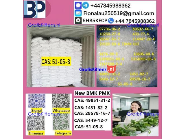 B.M.K P.M.K 51-05-8 Procaine HCl raw materials