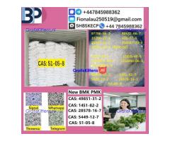 B.M.K P.M.K 51-05-8 Procaine HCl raw materials