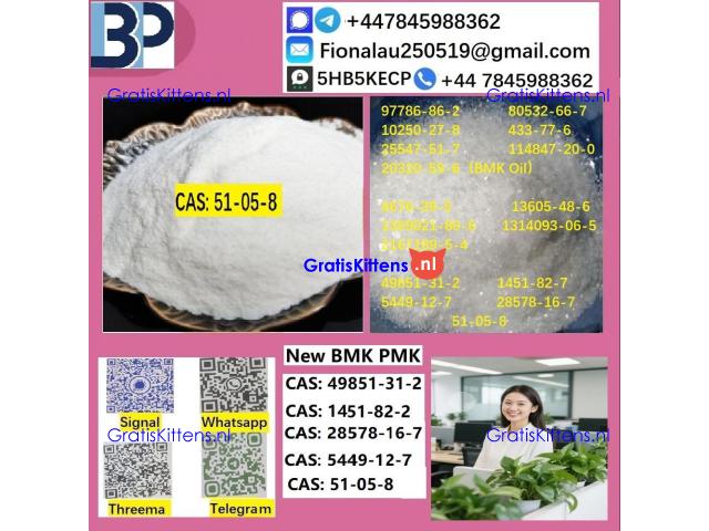 B.M.K P.M.K 51-05-8 Procaine HCl raw materials