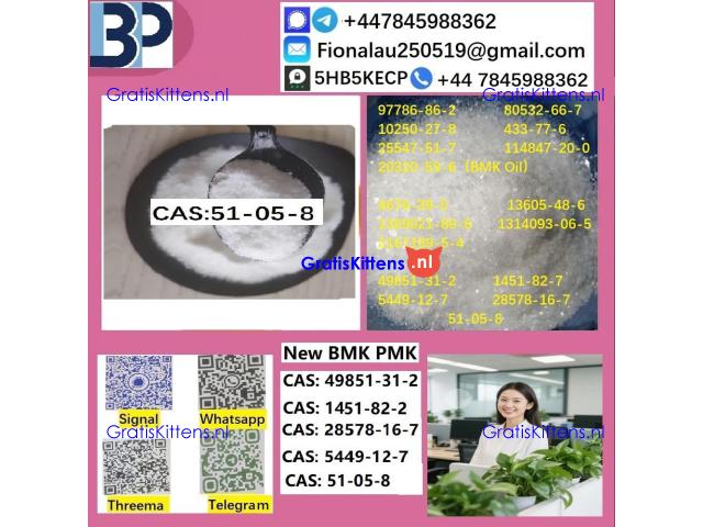 cas51-05-8 B.M.K P.M.K Procaine HCl raw materials