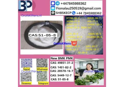 cas51-05-8 B.M.K P.M.K Procaine HCl raw materials