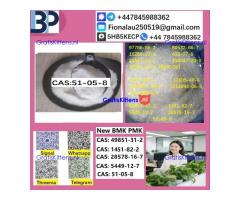 cas51-05-8 B.M.K P.M.K Procaine HCl raw materials