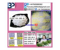 cas51-05-8 B.M.K P.M.K Procaine HCl raw materials