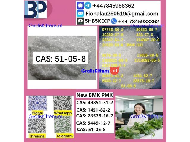 cas51-05-8 B.M.K P.M.K Procaine HCl raw materials