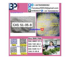 cas51-05-8 B.M.K P.M.K Procaine HCl raw materials