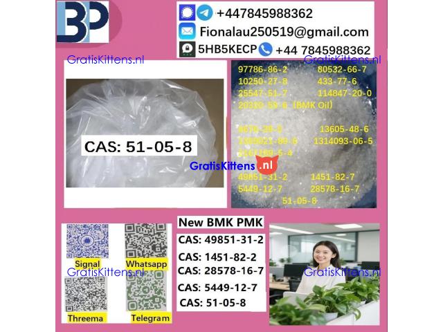 cas51-05-8 B.M.K P.M.K Procaine HCl raw materials
