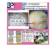 cas51-05-8 B.M.K P.M.K Procaine HCl raw materials
