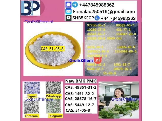 51-05-8 B.M.K P.M.K Procaine HCl raw materials