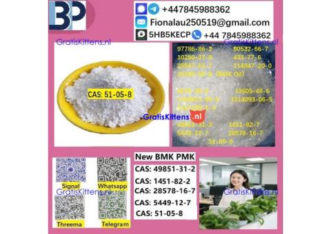 51-05-8 B.M.K P.M.K Procaine HCl raw materials